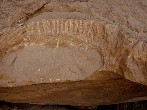 istock Ancient petroglyph. Fremont Culture, Utah. 1417031322