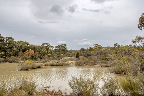 istock Nice little lake on a cloudy day 1417031383
