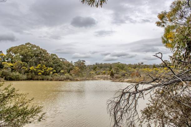 istock Nice little lake on a cloudy day 1417031390