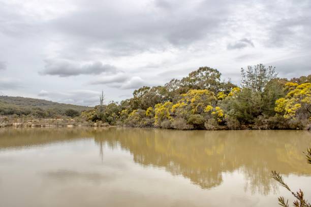 istock Nice little lake on a cloudy day 1417031393