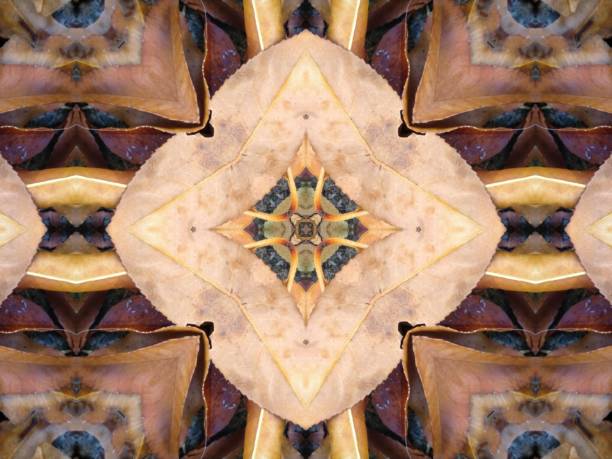 istock A beautiful symmetrical pattern of overlapping and intersecting leaves, foliage, and natural forms 1417031572