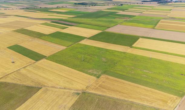 istock landscape with many cultivated lands seen from above 1417033551