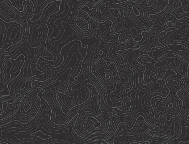 Vector illustration of Seamless Topographic Contour Lines