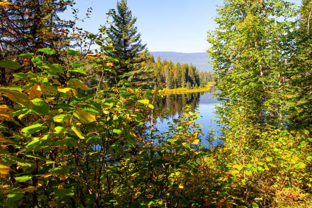 istock The lake reflects the blue sky. 1417035366