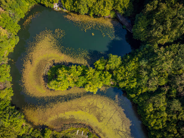 istock Flight over Marghitas lake, Romania 1417035637