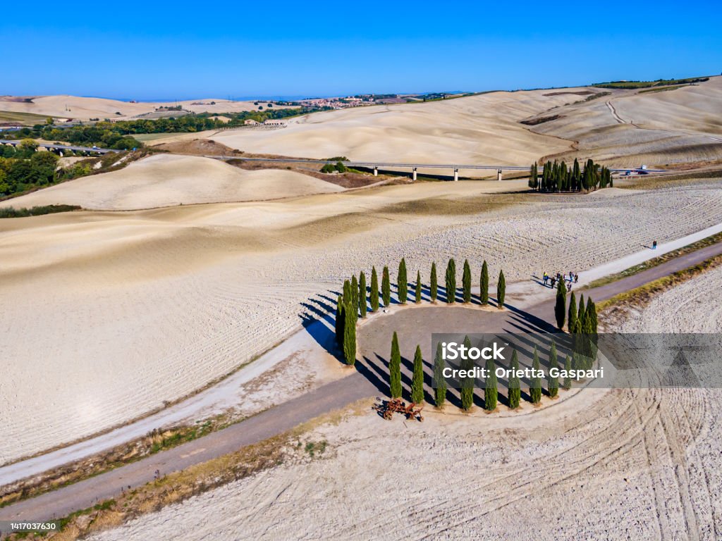 I Cipressini - Cypress trees of San Quirico d'Orcia - Tuscany Cypress trees of San Quirico d'Orcia immersed in a solitary landscape Agricultural Field Stock Photo