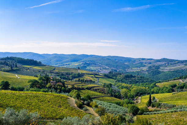 istock Chianti Region - Tuscany 1417038213