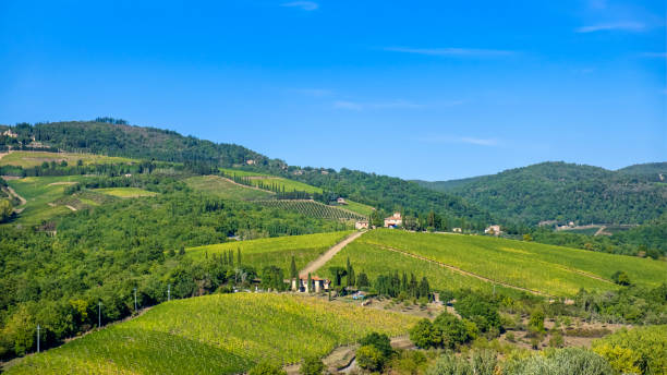 istock Chianti Region - Tuscany 1417038855