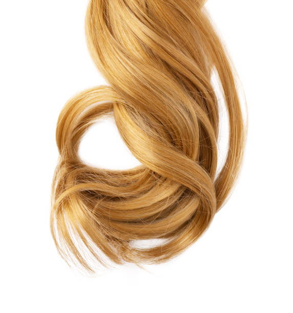 istock Long golden blond curly hair isolated on white background. 1417040892