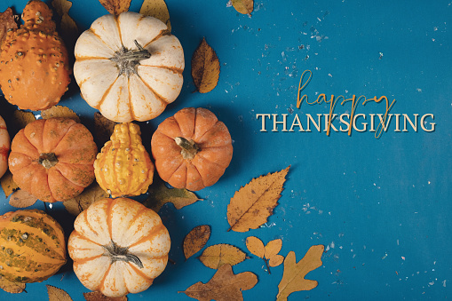 Happy Thanksgiving flat lay with pumpkin decoration on blue background for holiday.