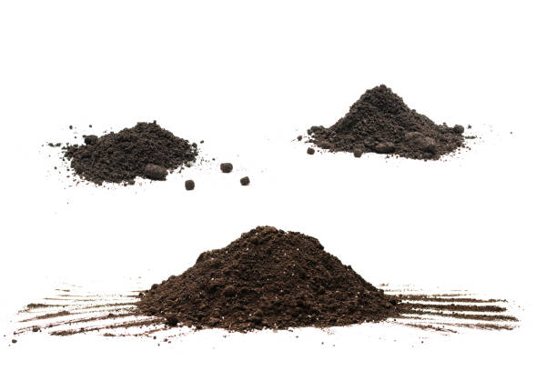 istock Black land for plant isolated on white background. 1417045515