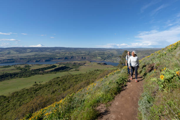 istock Fit and active mixed race retiree couple hiking together 1417045759
