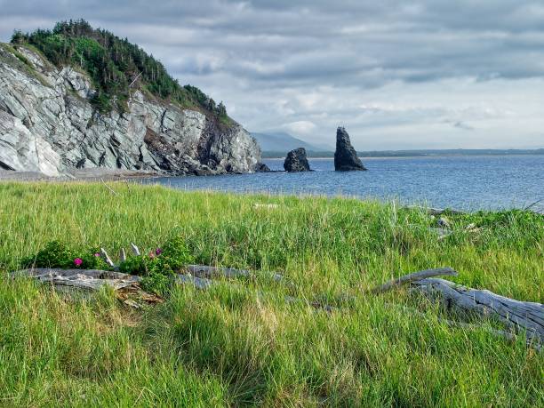 istock Along the Cabot trail on Cape Breton island Nova Scotia 1417048019