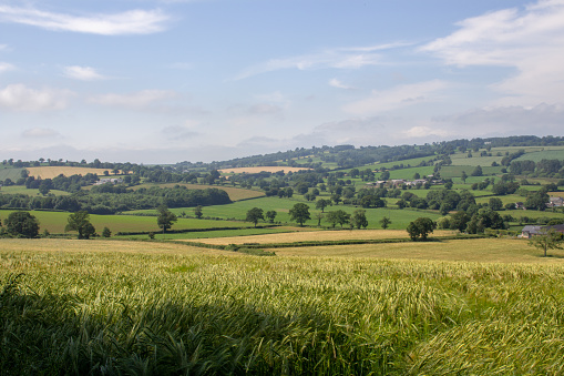 Beautiful Summer morning landscape panorama view across rolling fields of South Downs National Park in England
