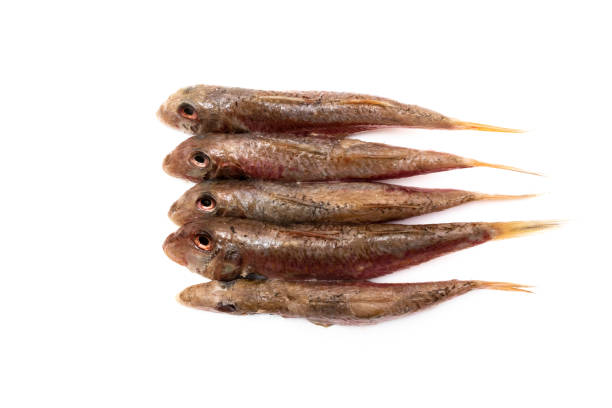 istock Raw and clean red mullet, isolated on white background. 1417051455