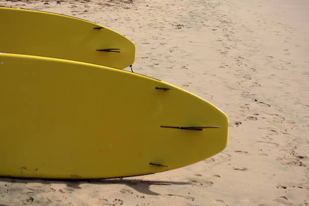 istock Surf boards at Cacimba beach, Fernando de Noronha, Brazil 1417060954
