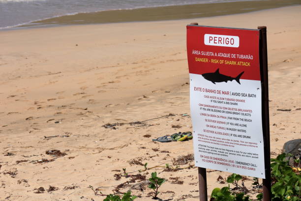 comitato consultivo per l'attacco degli squali sulla spiaggia di praia do sueste, fernando de noronha, brasile, 10 agosto 2022 - leao foto e immagini stock