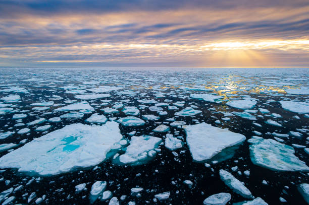 puesta de sol sobre la bolsa de hielo del océano ártico - clima polar fotografías e imágenes de stock