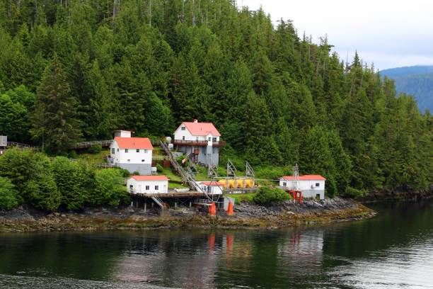 istock Boat Bluff Lighthouse, British Columbia, Canada 1417062608