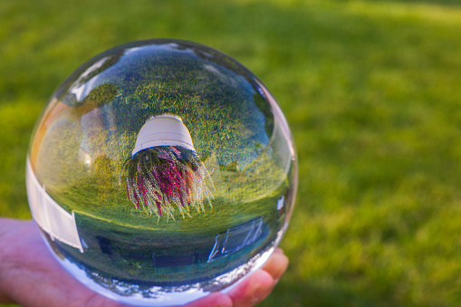 Close up view of upside-down reflection of pot with  colorful plant in glass ball on man's hand.