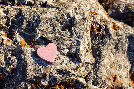 red wooden heart on a gray stone with lichens. stone texture and red heart made of wood