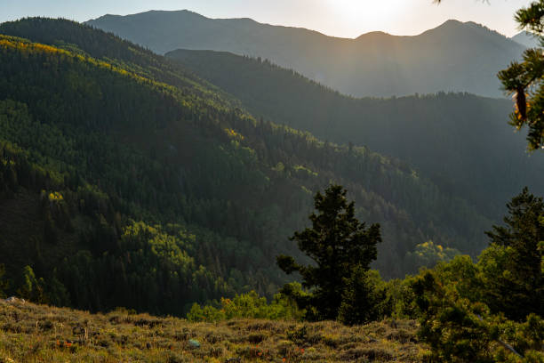 Oquirrh Mountains IN the middle of the oquirrh mountains tooele stock pictures, royalty-free photos & images