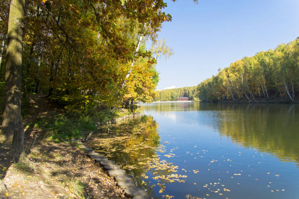 Beautiful autumn landscape - trees with yellow autumn foliage on the shore of the pond. Teplostanovsky forest park, Moscow, Russia. Sunny day in October.