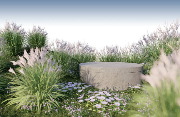 istock A 3d rendering image of product display on grass field 1417071880
