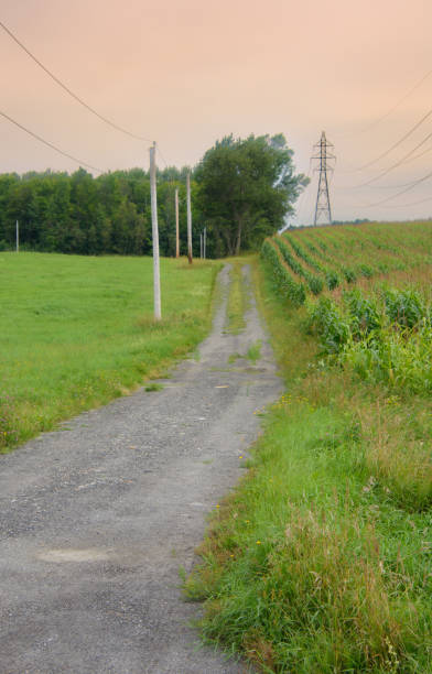 istock Countryside landscape with farm in Quebec, Canada 1417072891