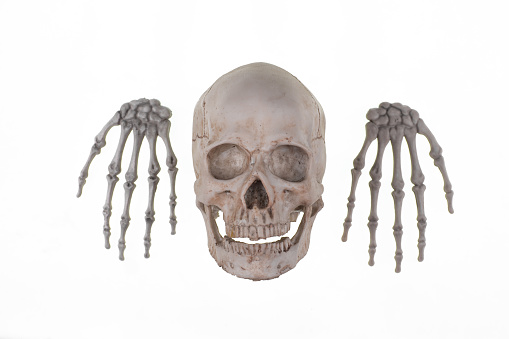 human skull and bones brush isolated on white background