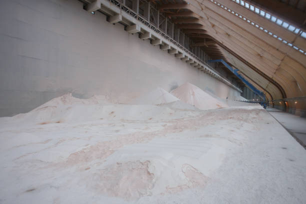 Warehouse of potash fertilizer plant production. Interior view of store with special conveyor equipment.