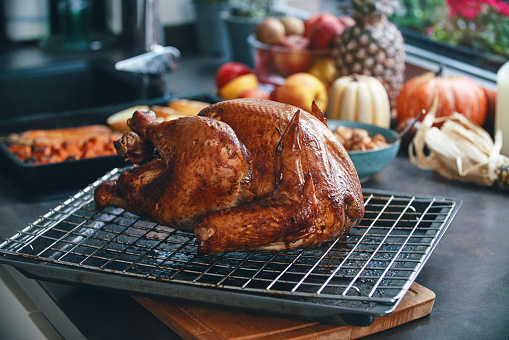 Preparing Stuffed Turkey for Thanksgiving Holidays