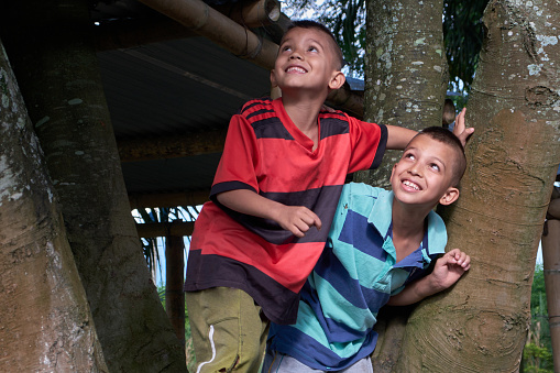 poor children playing and climbing tree