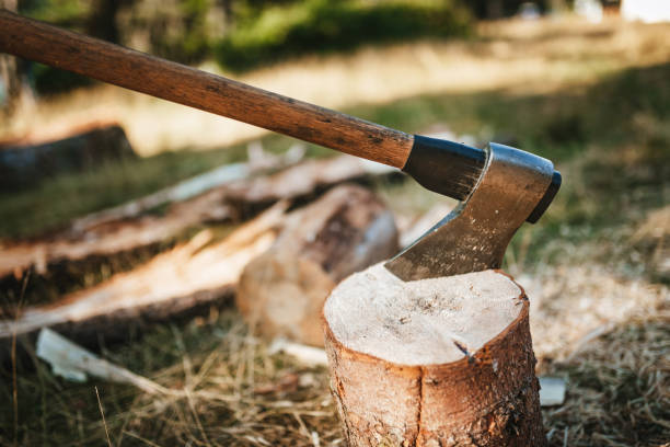 istock An axe stuck in a piece of wood 1417075748