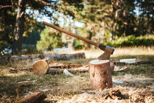 istock An axe stuck in a piece of wood 1417075751