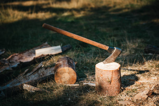 istock An axe stuck in a piece of wood 1417075752