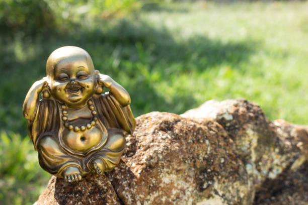 istock Buddha on top of the stone 1417077192