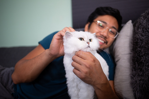 Filipino man petting his cat\nShallow DOF