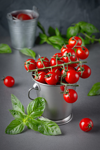 Metal bucket with red ripe cherry tomatoes