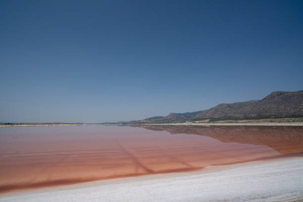 소금 호수에서 분홍색 소금을 생산하기위한 붉은 수영장의 아름다운 풍경 - badlands tranquil scene pink red 뉴스 사진 이미지