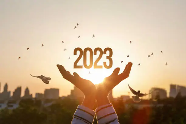 Concept of New Year 2023 with hopes for peace and prosperity.