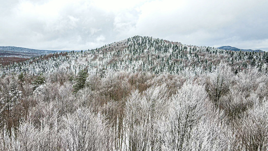 Aerial photo of the pine forests on the snowy mountain peak in Sakarya in 2022.