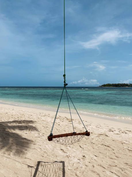 istock Swing chair hanging from a palm tree by ocean 1417095467