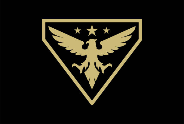 골든 트라이앵글 아메리칸 이글 호크 팔콘 피닉스 버드 배지 엠블럼 군대 군대 아이콘 디자인 - symbol military star eagle stock illustrations