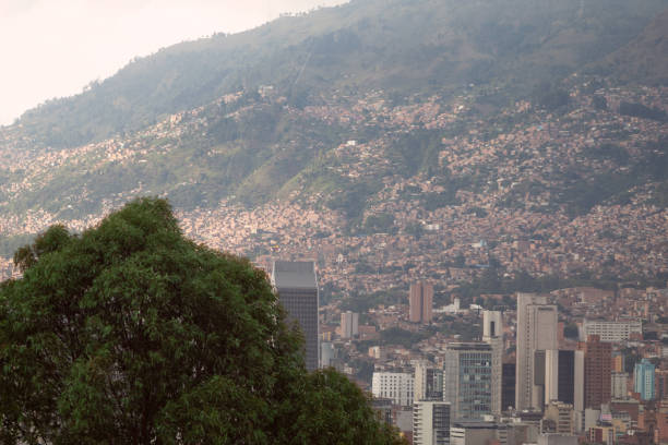 istock A city built on a mountain with a tree in the foreground 1417108457