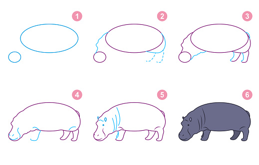  Ilustración de Instrucciones Para Dibujar Hipopótamos Paso A Paso y más Vectores Libres de Derechos de Alegría