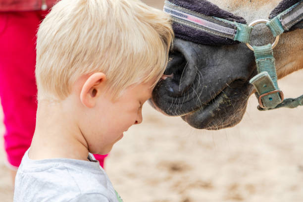 istock Boy with horse in farm 1417142238