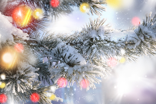 Holiday background with illuminated Christmas tree on a snowy winter day outdoors. Happy New Year!