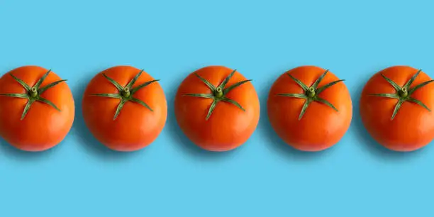 Photo of Tomatoes in a row on a blue background