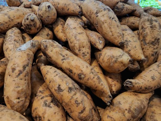 istock A bunch of Sweet Potatoes 1417156067